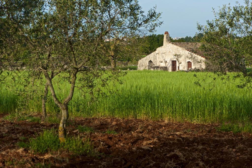 Masseria Ciavea Gioia Del Colle Luaran gambar